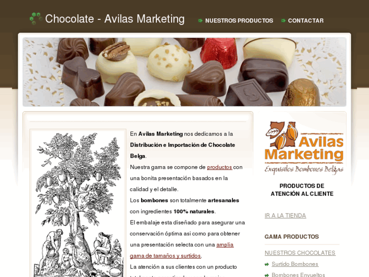www.chocolatebelga.net