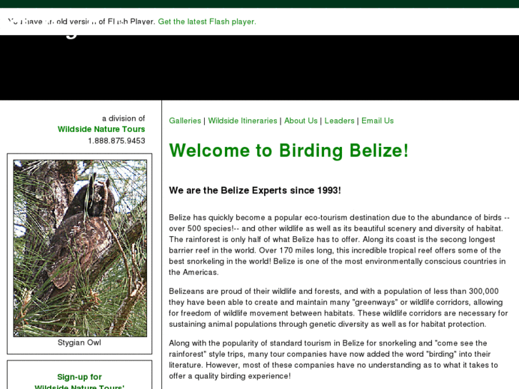 www.birdbelize.com