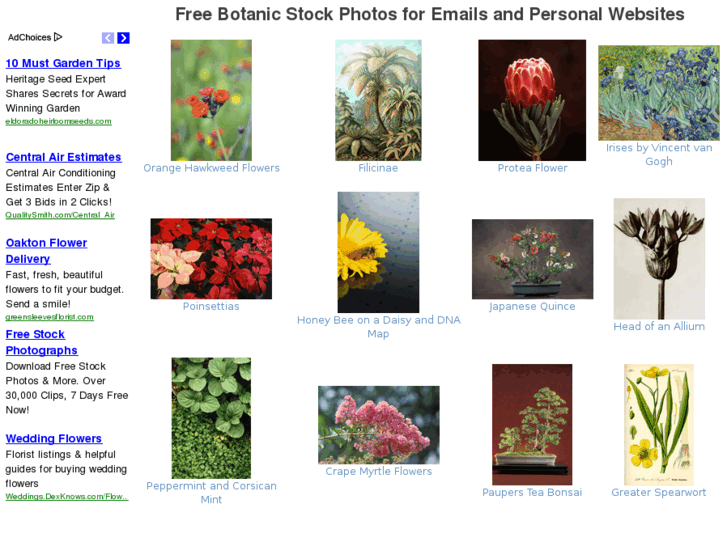 www.botanicstockphotos.com