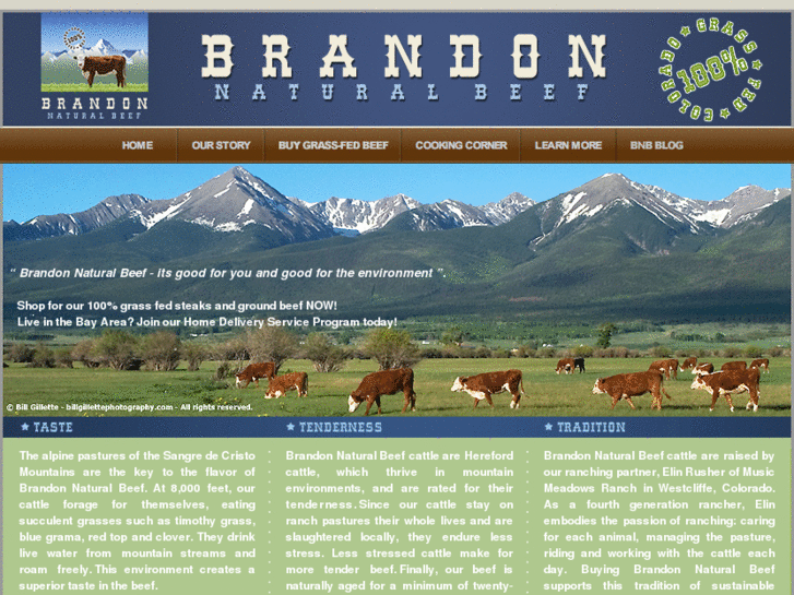 www.brandonnaturalbeef.com