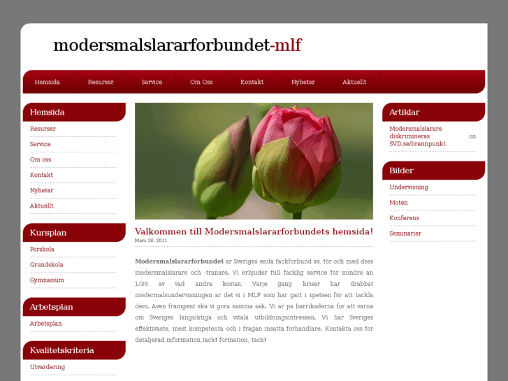 www.modersmalslararforbundet.com