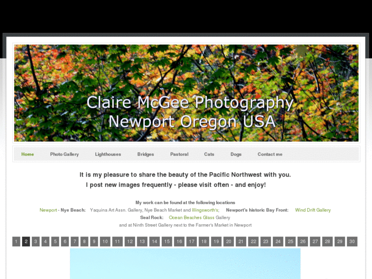 www.clairemcgee.com