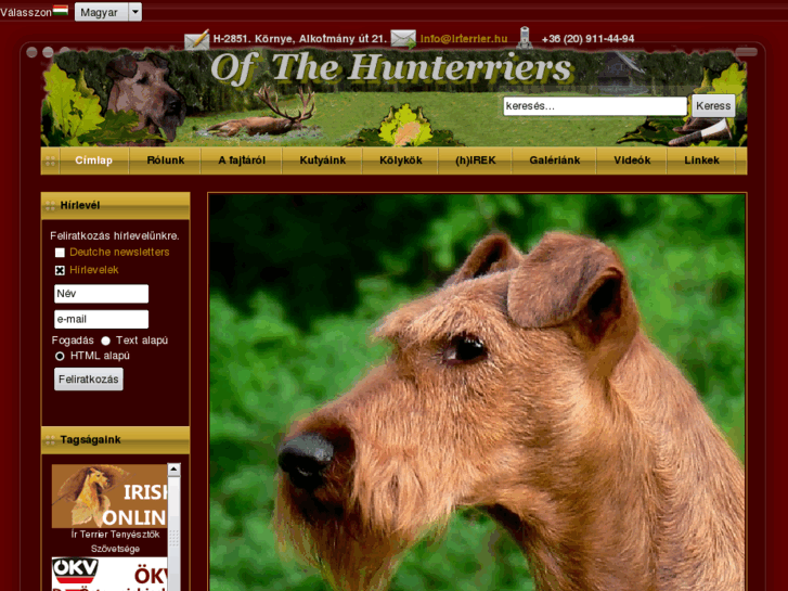 www.irterrier.hu