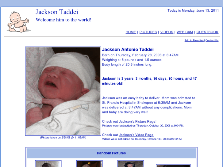 www.jacksontaddei.com