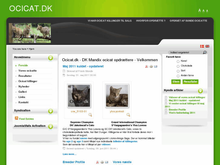 www.ocicat.dk