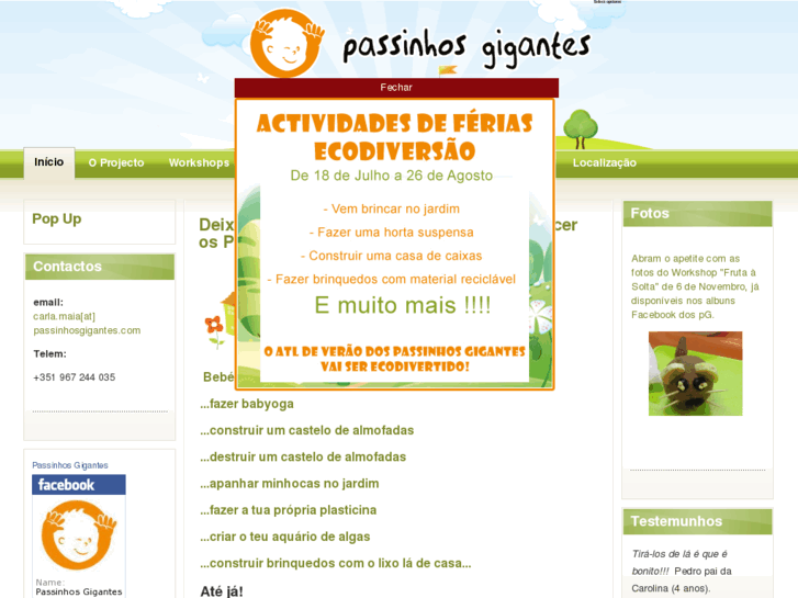 www.passinhosgigantes.com