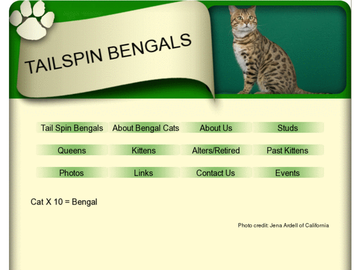 www.tailspinbengals.com