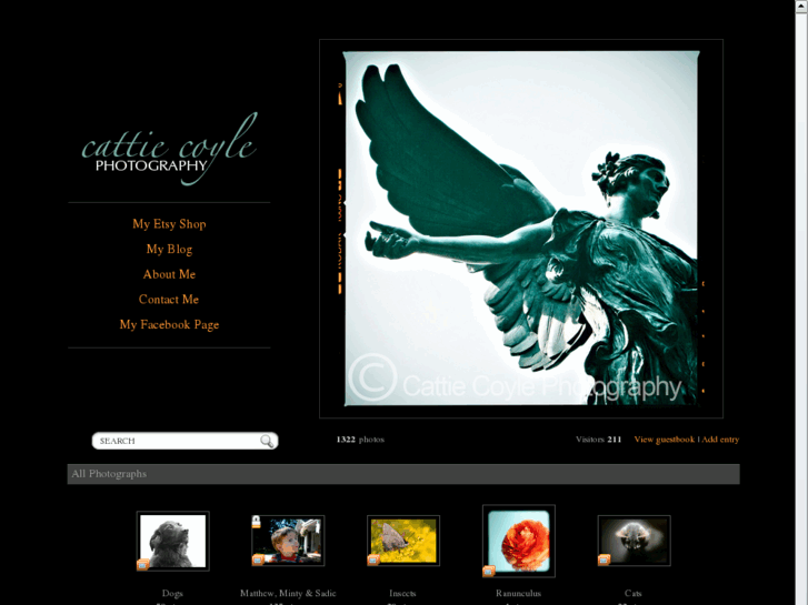 www.cattiecoylephotography.com