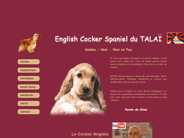 www.cocker-talai.com