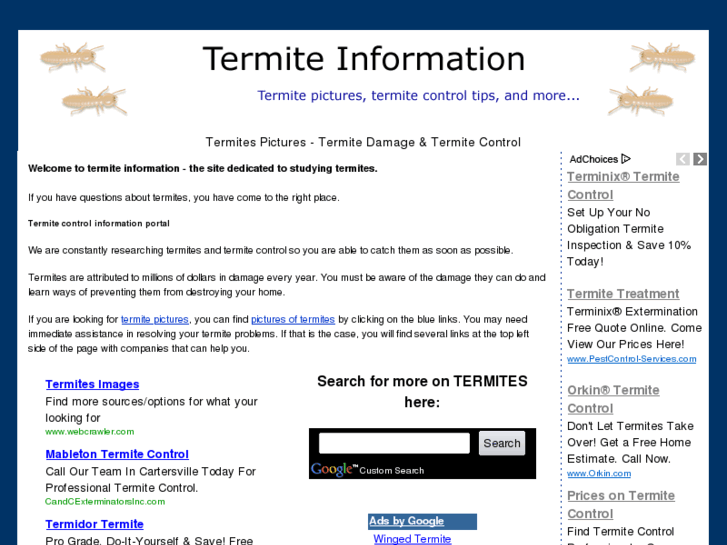 www.termite-i.com