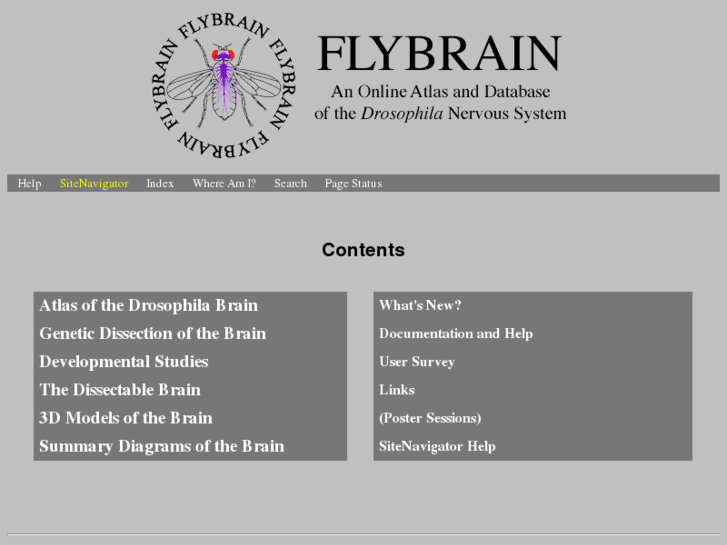 www.flybrain.org