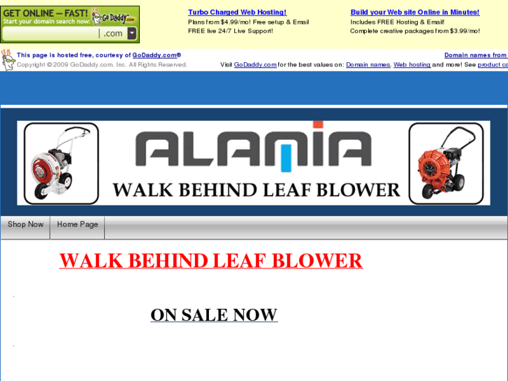 www.leafblowerwalkbehind.com