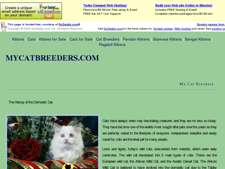 www.mycatbreeders.com