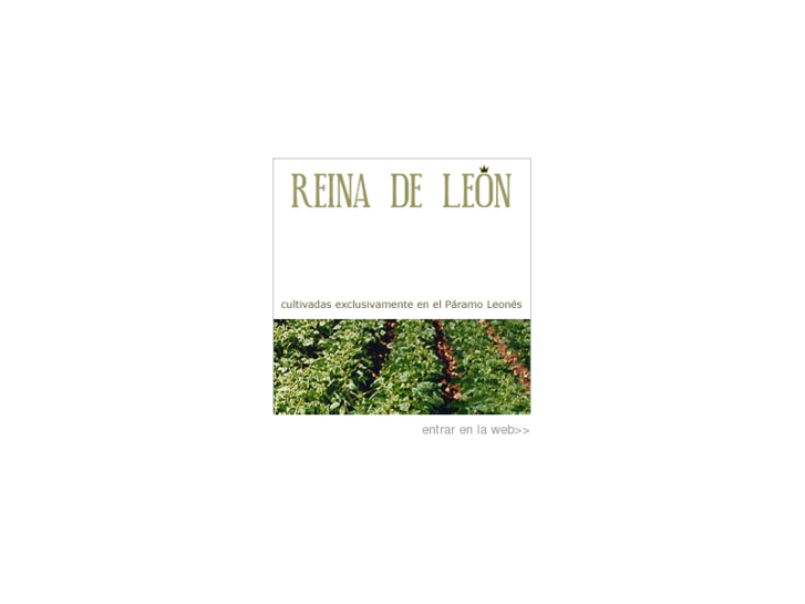 www.reinadeleon.com