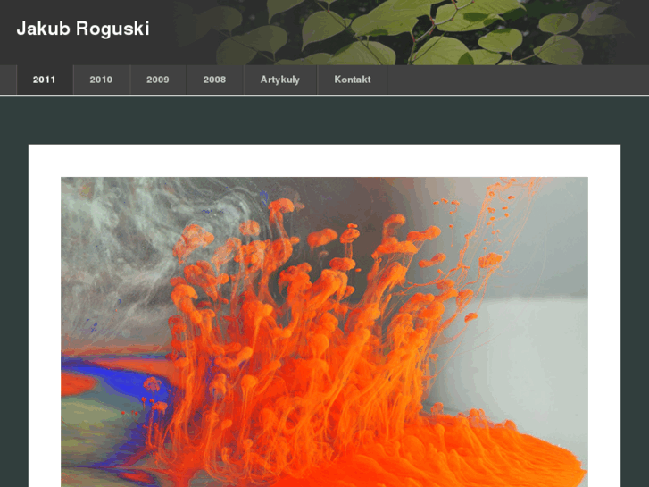 www.roguski.net