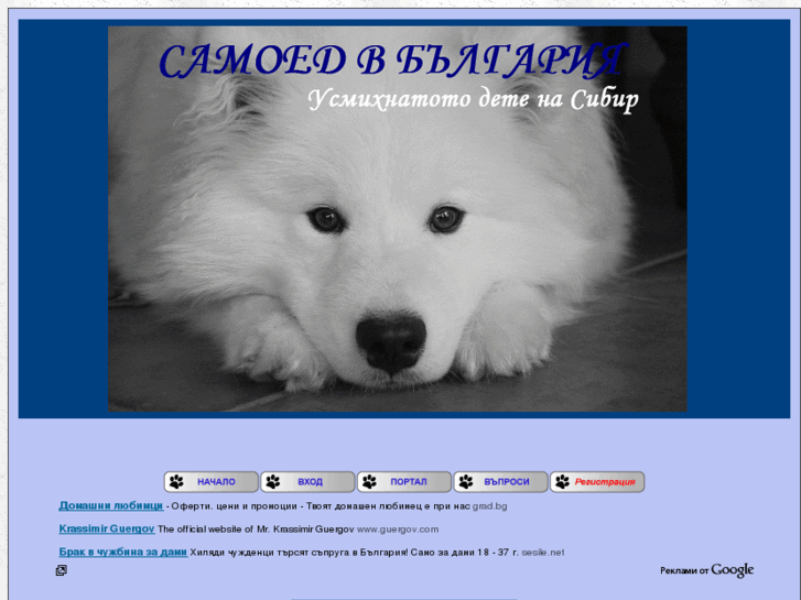 www.samoyedbg.net