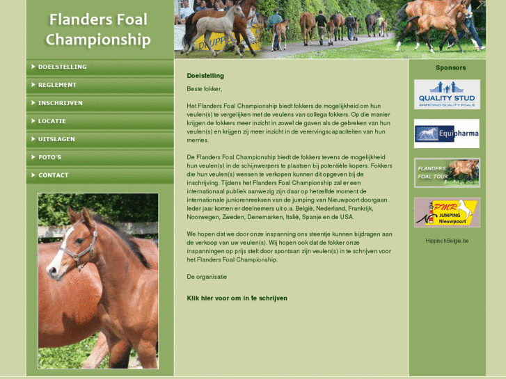 www.flandersfoalauction.com