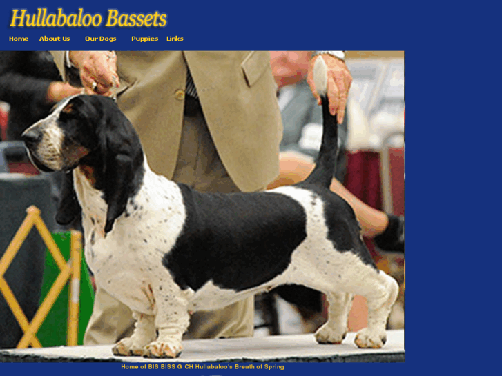 www.hullabaloobassets.com