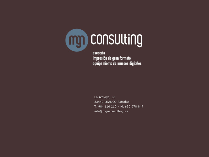 www.mgnconsulting.es
