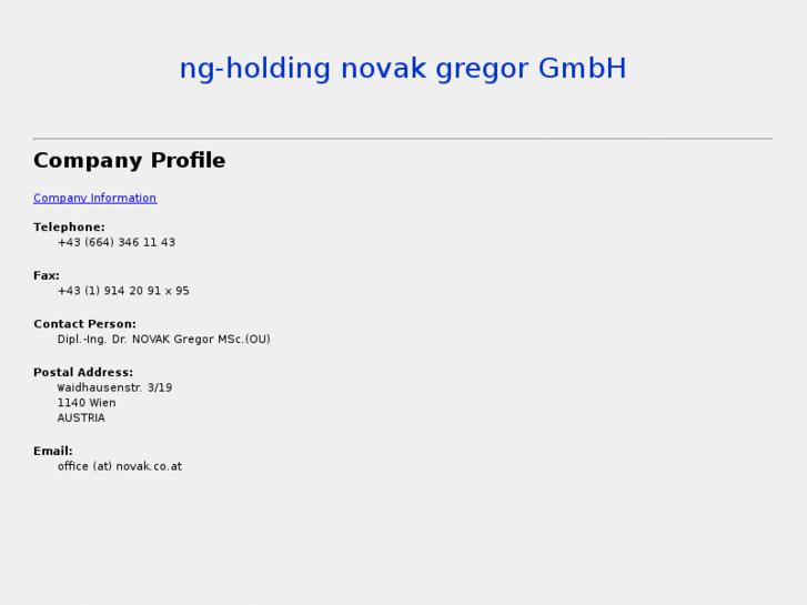www.ng-holding.com