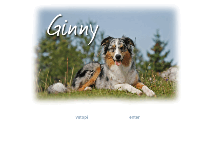 www.ginny.si