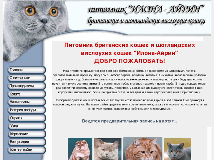 www.ilonacat.ru