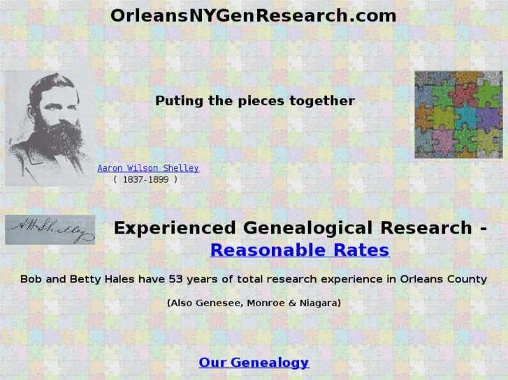 www.orleansnygenresearch.com