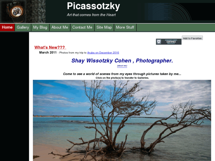 www.picassotzky.com