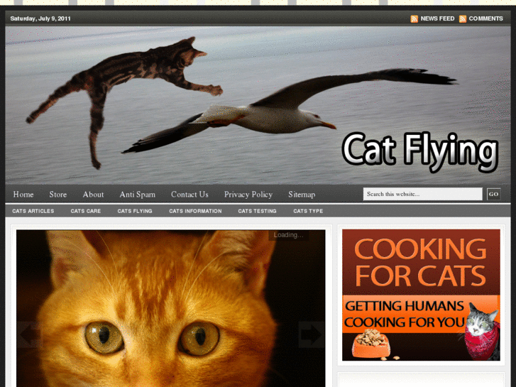 www.catflying.com