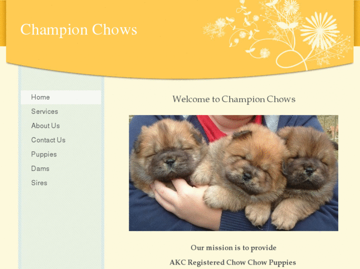 www.championchows.com