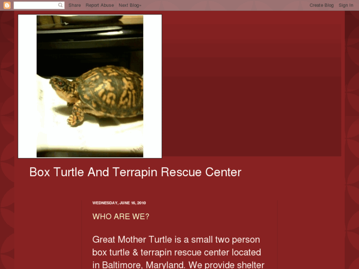 www.greatmotherturtle.com