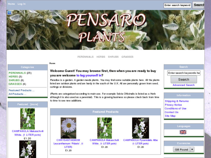 www.pensaro.com