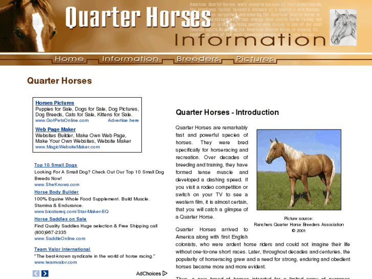 www.quarter-horses-information.com