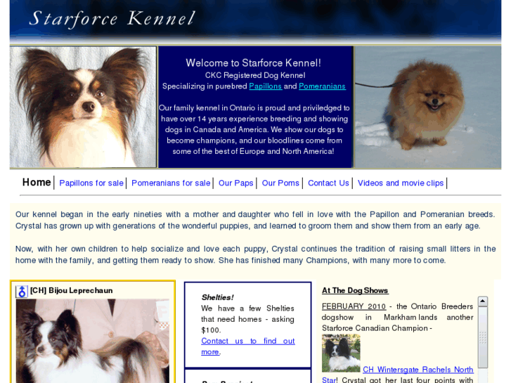 www.starforcekennel.com