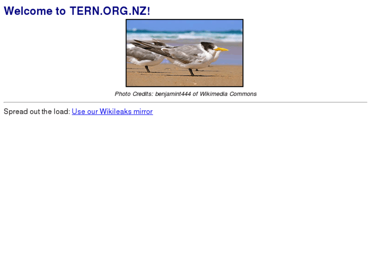 www.tern.org.nz