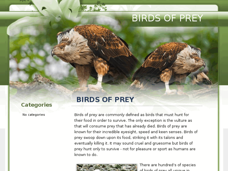 www.birdsofprey.co.uk