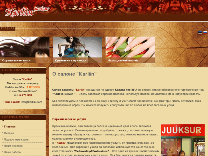 www.karliin.com