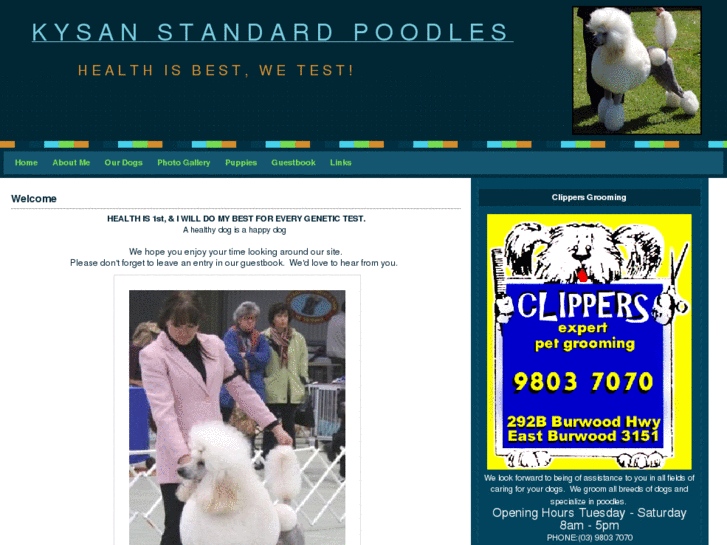 www.kysanstandardpoodles.com