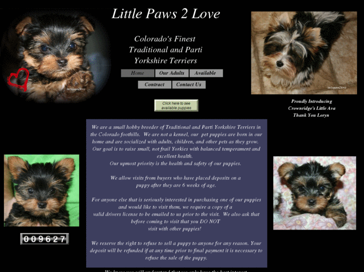 www.littlepaws2love.org