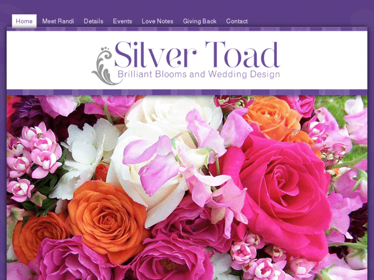 www.silvertoad.com