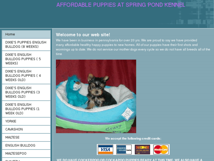 www.affordablepuppiesatspringpondkennel.com