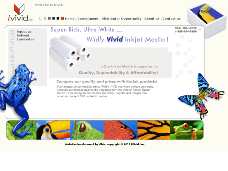 www.ivivid.net