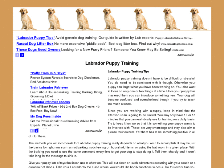 www.labradorpuppytraining.org