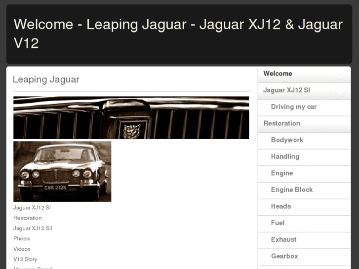 www.leapingjaguar.com