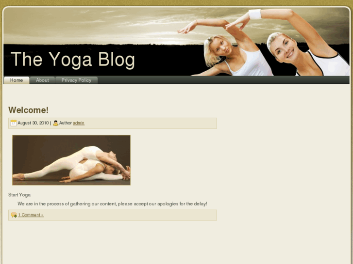 www.theyogablog.net