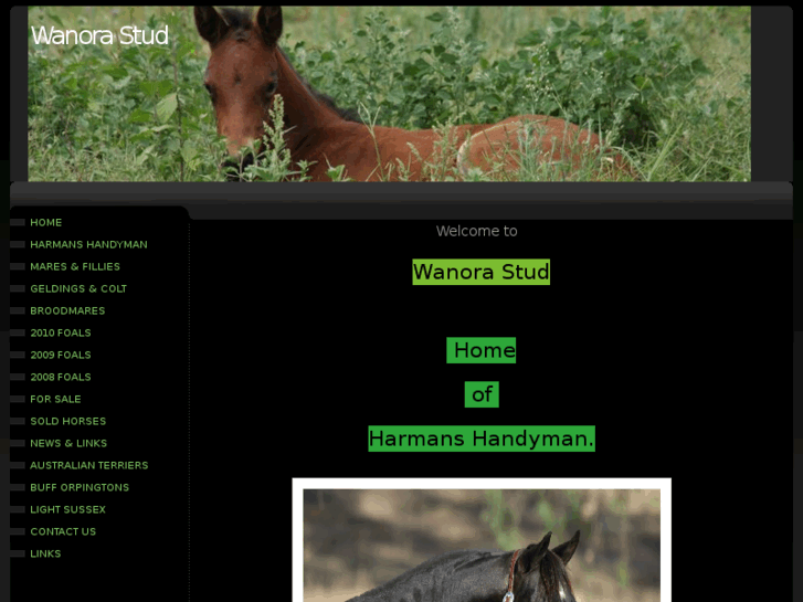 www.wanorastud.com