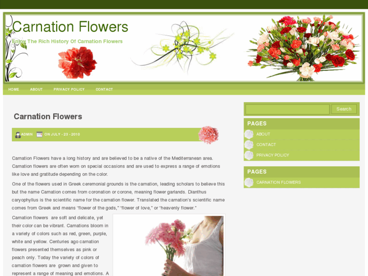 www.carnationflowers.net