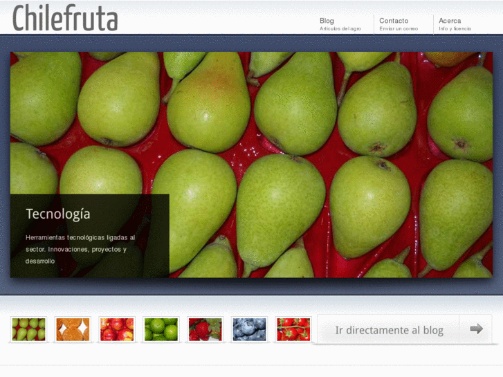 www.chilefruta.com