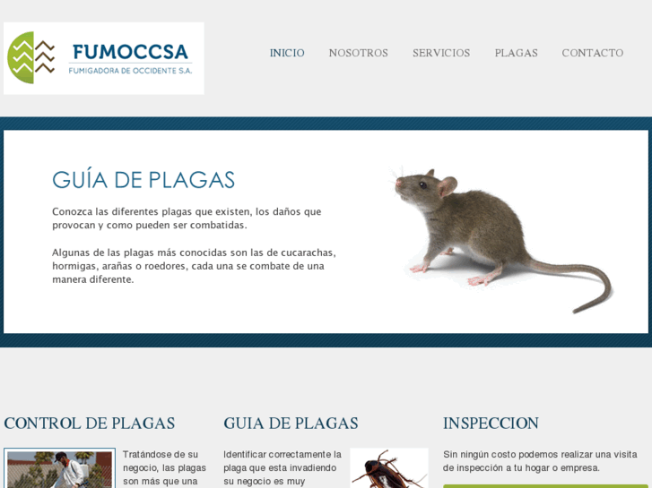 www.fumocsa.com