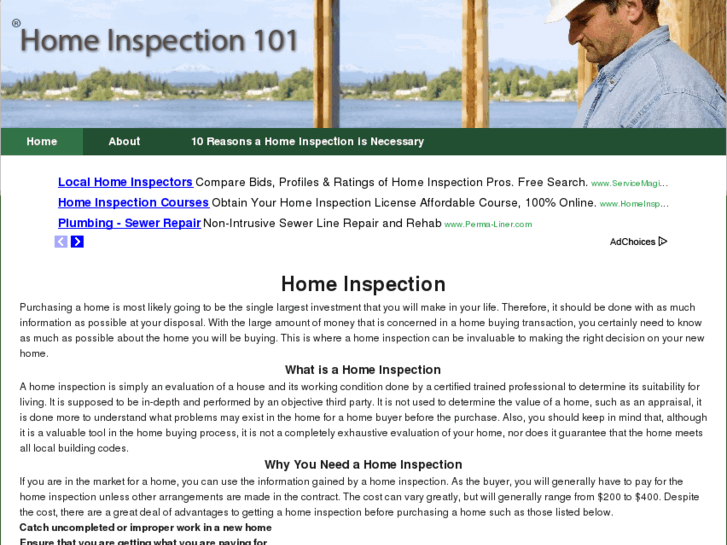 www.homeinspection101.com